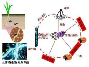 供应316不锈钢成分分析图片