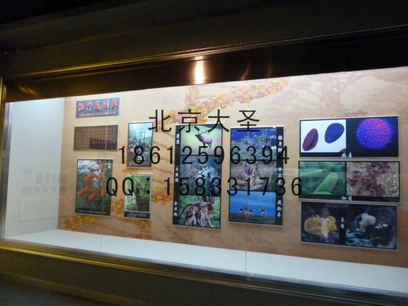 供應(yīng)承建博物館裝飾裝潢及廣告布展制作 博物館場(chǎng)景復(fù)原、半景畫、模型制作