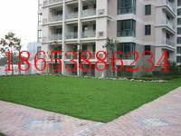 湖南三維土工網(wǎng)價(jià)格@長(zhǎng)沙三維植被網(wǎng)廠(chǎng)家@ 郴州三維綠化網(wǎng)代理商