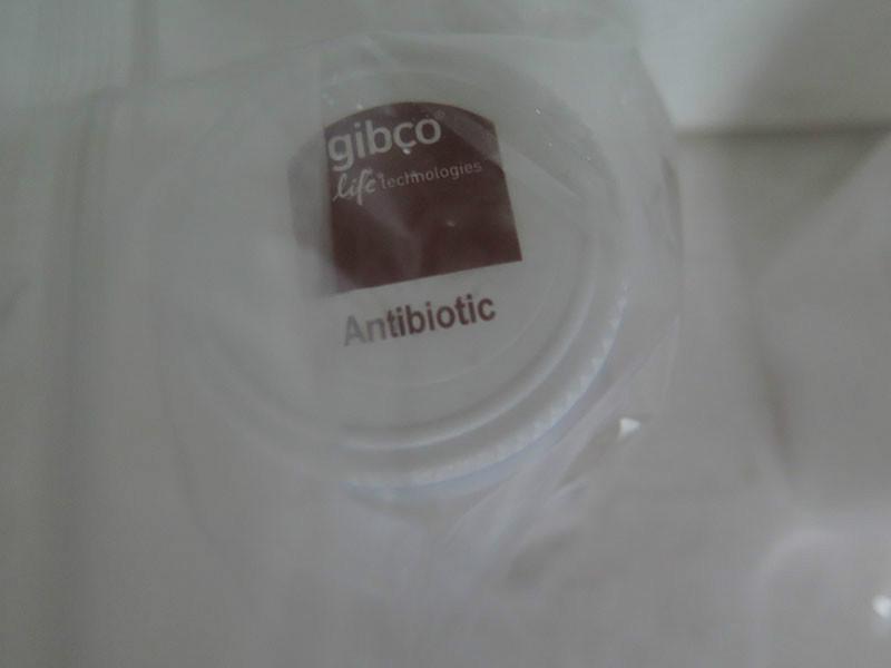 供應gibco15140163胰酶