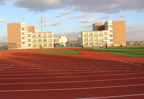 供應(yīng)賀州幼兒園彩色場地