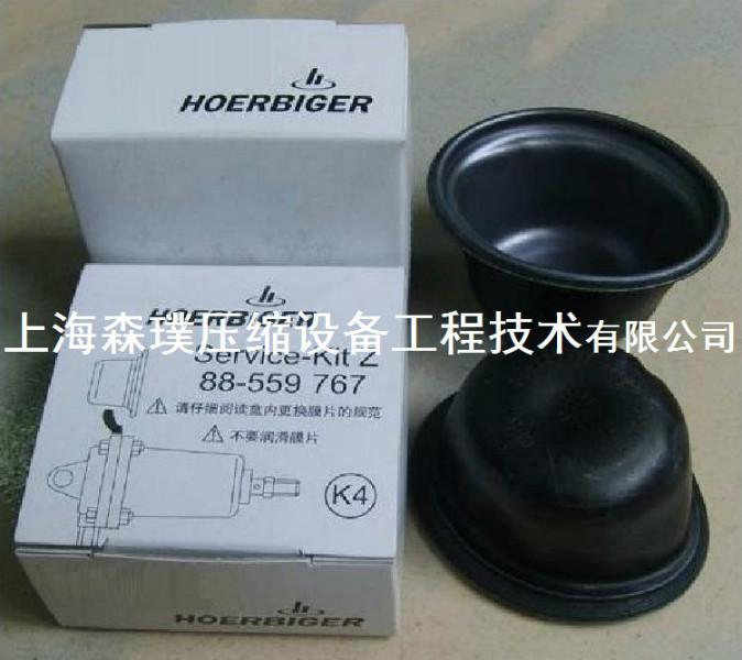 供應(yīng)賀爾碧格膜片88559767HOERBIGER膜片膜片