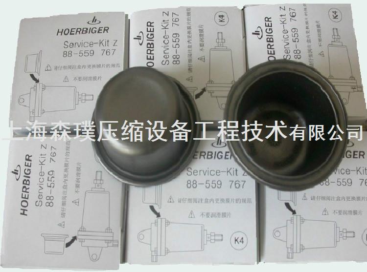 供應(yīng)賀爾碧格膜片88559767HOERBIGER膜片膜片