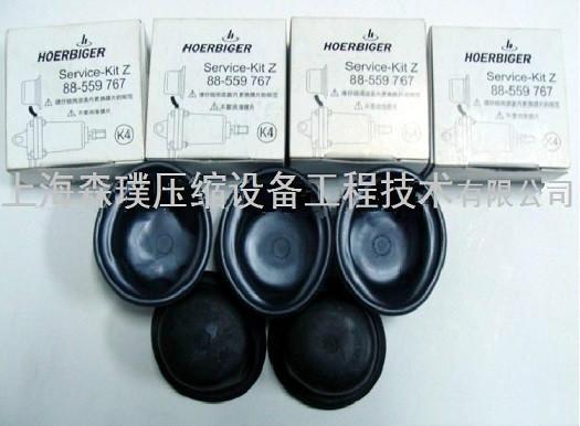 供應(yīng)賀爾碧格膜片88559767HOERBIGER膜片膜片