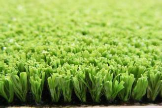 供應草坪施工保養(yǎng)