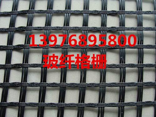 低價(jià)土工格柵圖片
