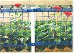 供應(yīng)雙圈防護(hù)欄網(wǎng)系列