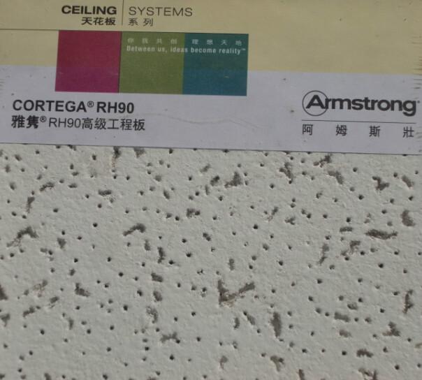 供應(yīng)阿姆斯壯毛毛蟲礦棉板雅雋吸音板