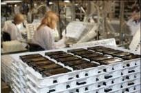 供應(yīng)澳大利亞鐵礦工人