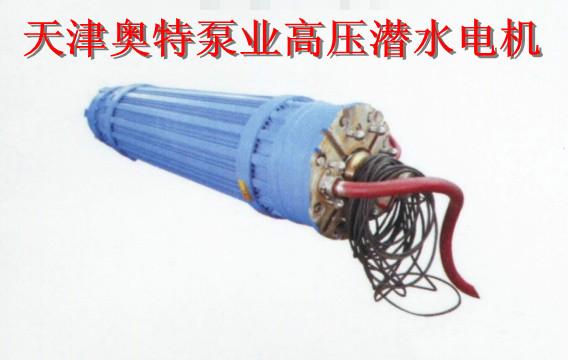 潛水電機圖片/潛水電機樣板圖 (2)