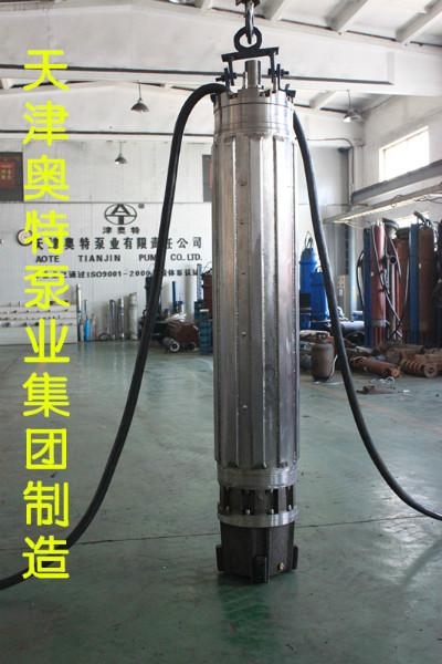 潛水電機圖片/潛水電機樣板圖 (4)
