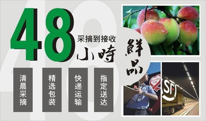 9斤裝鷹嘴蜜桃中果 產(chǎn)自中國(guó)鷹嘴蜜桃之鄉(xiāng) 連平禧德福鷹嘴桃基地直銷 現(xiàn)摘現(xiàn)發(fā) 廣東省內(nèi)包郵 鷹嘴蜜桃批發(fā)零售