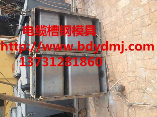供應(yīng)高速用于的電纜溝蓋板模具電纜槽溝蓋板模具精密模具