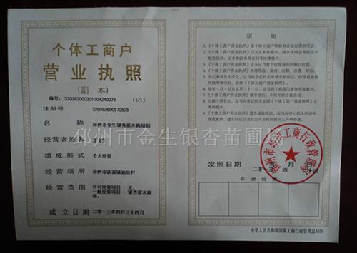 【22公分銀杏樹】_22公分銀杏樹哪里有_常年出售22公分銀杏樹