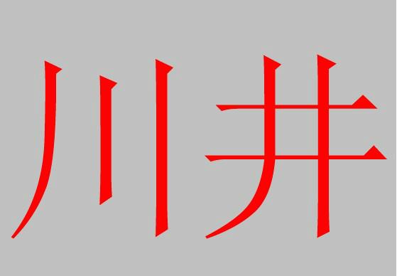 川井深圳贸易有限公司