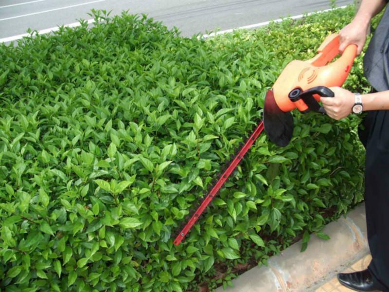 供應(yīng)河南綠籬修剪機(jī)代理商，河南綠籬修剪機(jī)供貨商，河南綠籬修剪機(jī)批發(fā)商