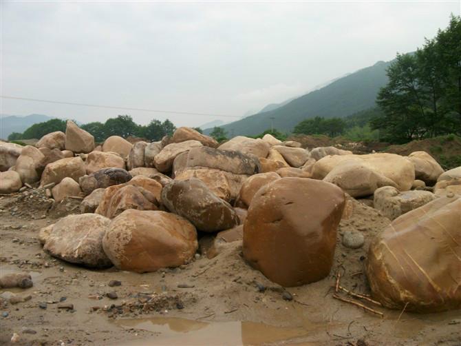 供應(yīng)黃蠟石 南昌黃蠟石南昌黃蠟石那里有南昌景觀黃蠟石南昌黃蠟石價(jià)格