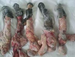 供應(yīng)冷凍驢肉批發(fā)-進(jìn)口驢肉供應(yīng) 驢肉 冷凍驢肉 冷凍驢肉批發(fā)廠家 驢肉批發(fā) 驢肉價(jià)格 昆明齊悅冷凍食品糧油股份有限公司