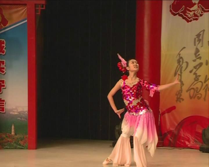 供應(yīng)舞蹈基本功訓(xùn)練