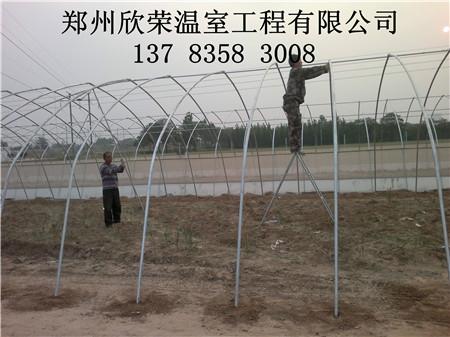 簡易拱棚建造廠家大棚建造廠家圖片/簡易拱棚建造廠家大棚建造廠家樣板圖 (3)