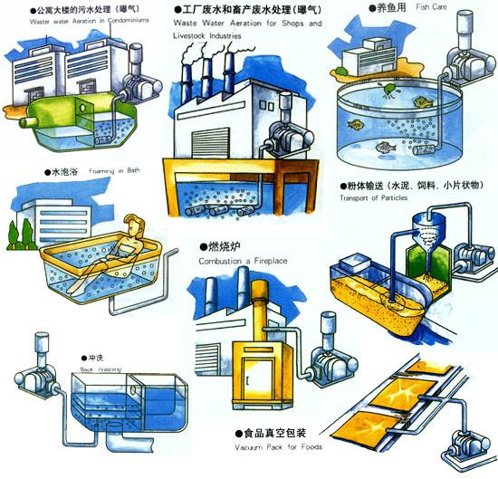 供应罗茨风机污水曝气罗茨风机