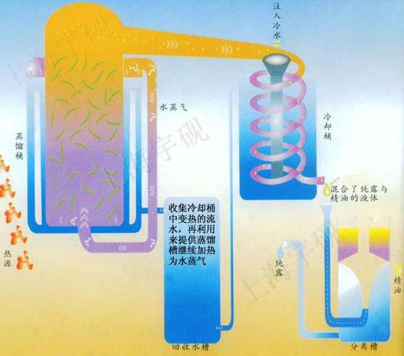 供应大型精油提取提取设备、精油提取浓缩机组、大型精油纯露提取设备