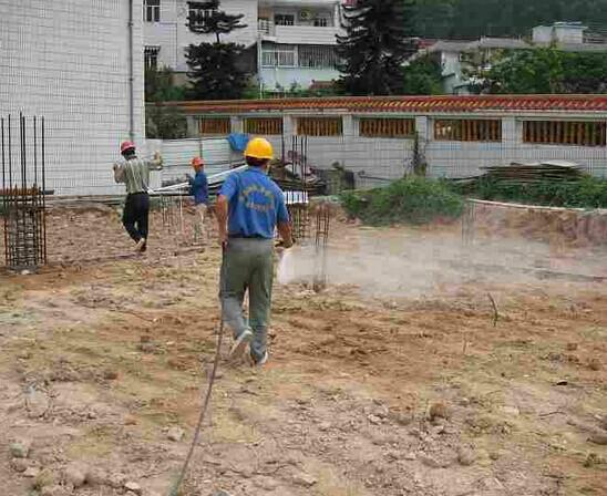 供应深圳龙岗家庭装修白蚁预防图片