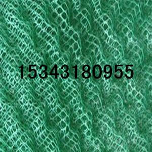 河北安平三維植被網(wǎng)三維網(wǎng)護坡網(wǎng)草破網(wǎng)