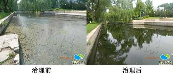 供應(yīng)50多位老板集體冬泳證明水環(huán)境治理