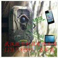 歐卡紅外線監(jiān)控相機(jī)SG-660M圖片