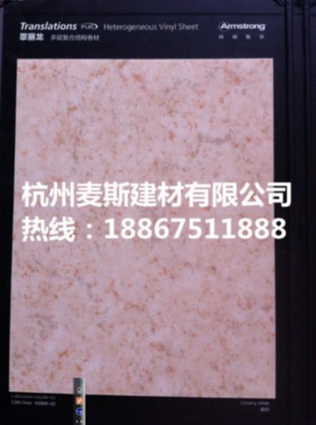 阿姆斯壯圖片/阿姆斯壯樣板圖 (2)