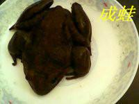 供應(yīng)大量石蛙供應(yīng),福建迎富石蛙養(yǎng)殖基地,*石蛙養(yǎng)殖基地,石蛙養(yǎng)殖