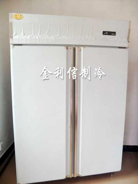 供應(yīng)廣州金利信牌食品速凍柜