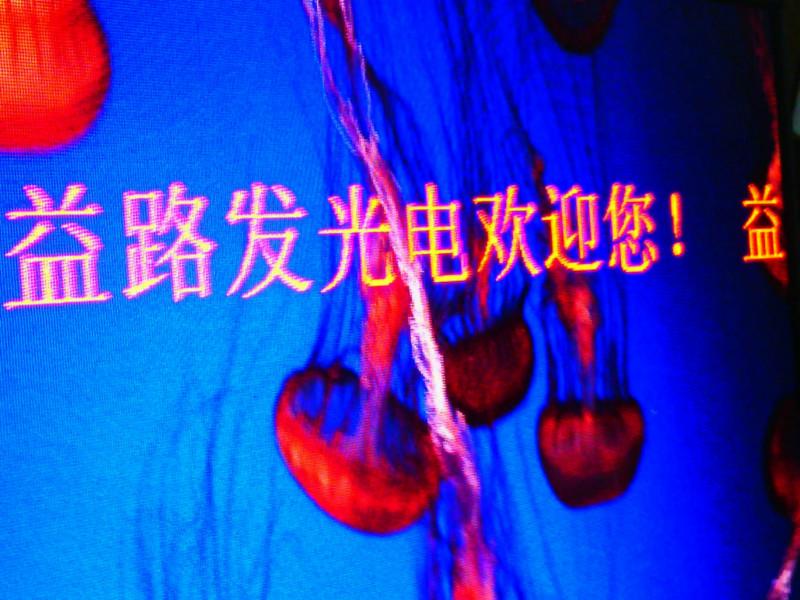 益路發(fā) P3室內(nèi)全彩顯示屏