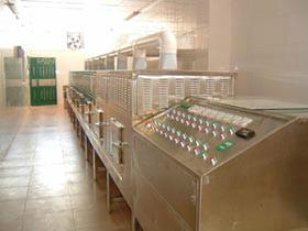 供應(yīng)木板干燥設(shè)備連續(xù)化低溫真空木材微波干燥設(shè)備