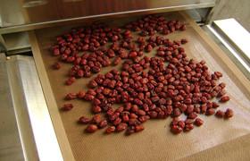 供應湖北武漢杏仁微波焙烤烘焙設備