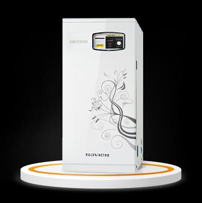 秦皇島原裝進(jìn)口燃?xì)忮仩t圖片