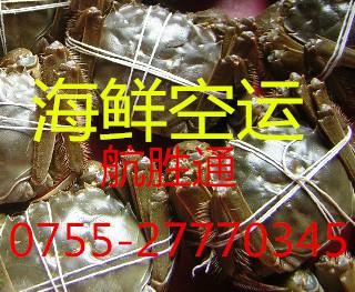 供應(yīng)深圳航空貨運(yùn)到濟(jì)南*達(dá)國內(nèi)空運(yùn)，機(jī)場貨運(yùn)