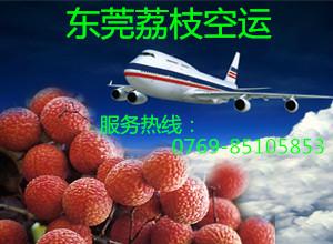 供應(yīng)國內(nèi)荔枝空運(yùn)門到門服務(wù)