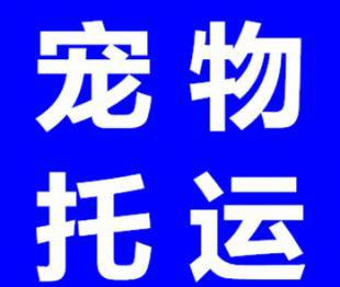 供应鸟类空运，鹦鹉、鸽子空运至西安成都，当天到达图片