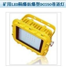 JXDZMWAROMBAJ52緊急照明燈防爆圖片