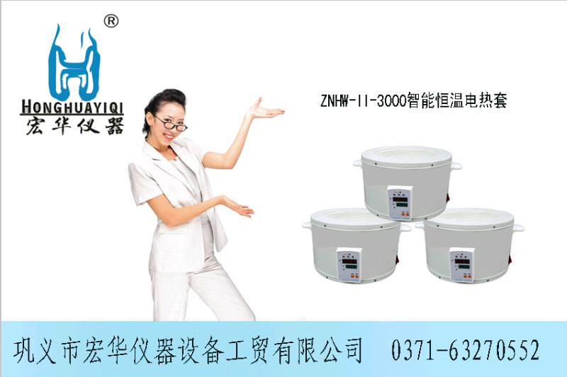 供應(yīng)智能恒溫500毫升電熱套