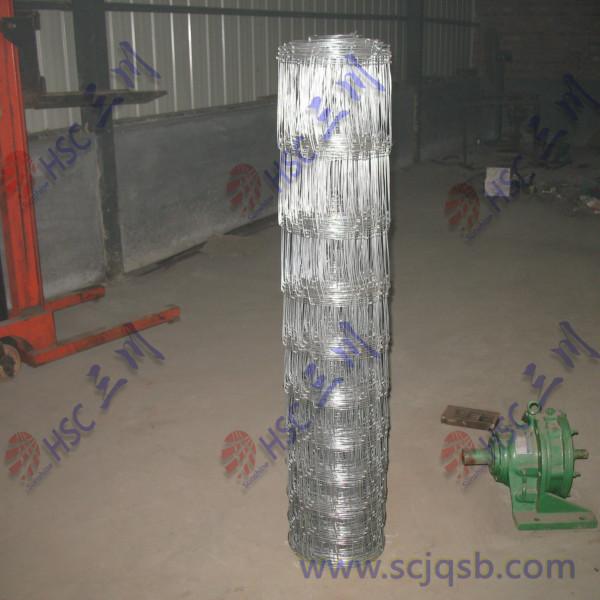 黃驊市供應(yīng)牛欄網(wǎng)機(jī)草原網(wǎng)護(hù)欄網(wǎng)畜籠網(wǎng)養(yǎng)殖網(wǎng)護(hù)坡網(wǎng)-*的牛欄網(wǎng)廠家