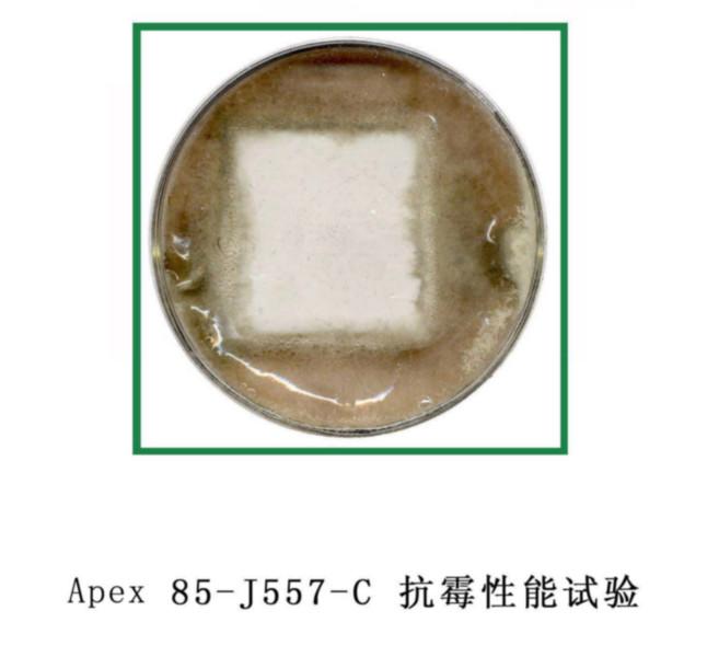供應廣東專業(yè)防霉檢測中心，廣東專業(yè)防霉檢測中心地址