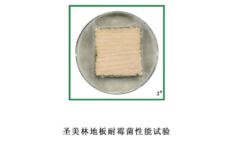 供應(yīng)廣東防霉檢測中心電話，廣東防霉檢測中心
