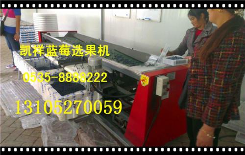 供應四季藍莓專業(yè)選果機/藍莓選果機山東廠家/藍莓選果機始創(chuàng)研發(fā)