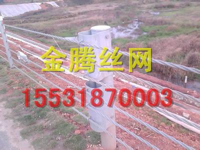 供應(yīng)纜索護(hù)欄/纜索護(hù)欄生產(chǎn)廠家
