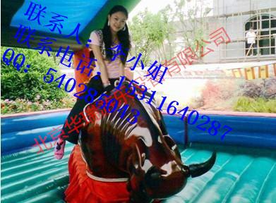 北京華瑞出租斗牛機15311640287圖片