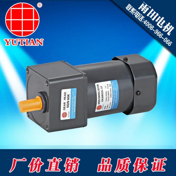 廠家供應(yīng)PVC計(jì)量泵電機(jī)60W交流電機(jī)