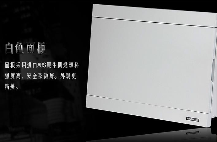 樂清圣明供應TCL配電箱 戶內(nèi)配電箱 室內(nèi)回路箱 品質(zhì)保證